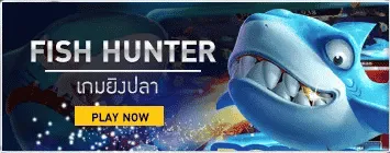 บาคาร่า pt fish hunter