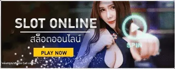 บาคาร่า pt slotonline